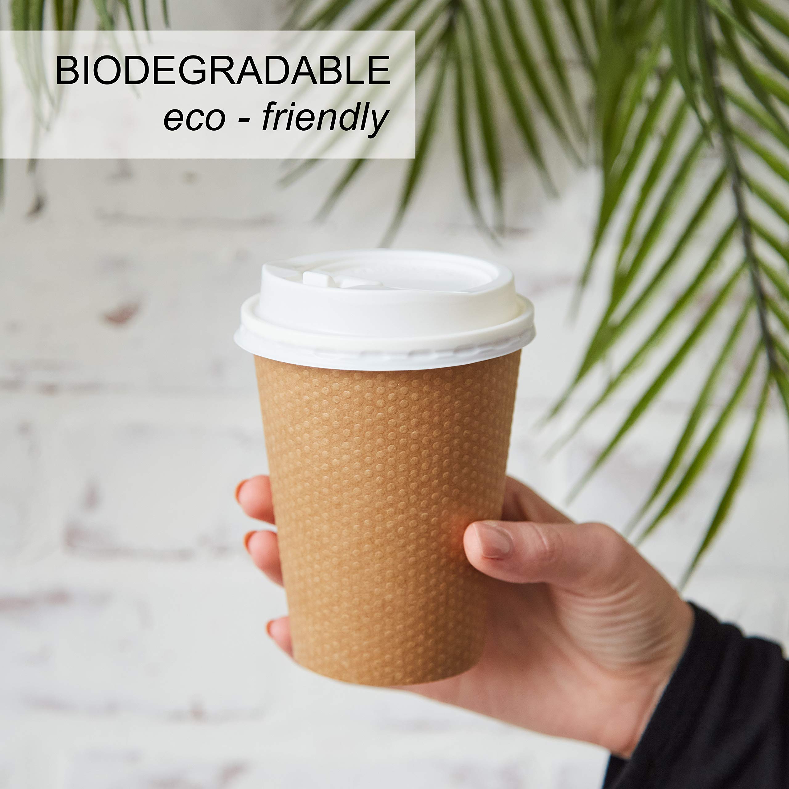 Biodegradable Double Walled Paper Coffee Cups
