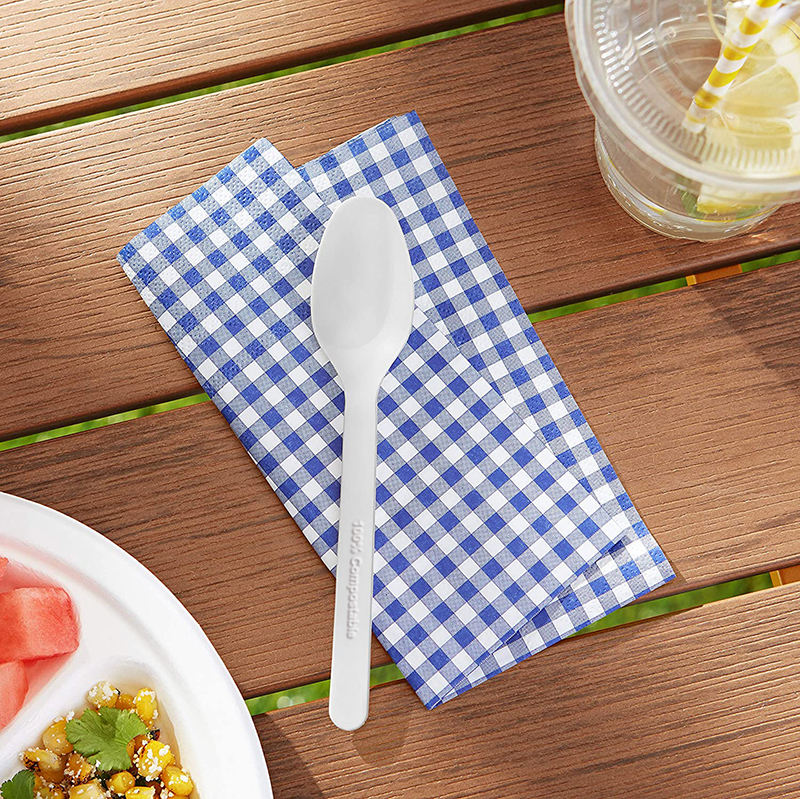 Compostable CPLA Spoon