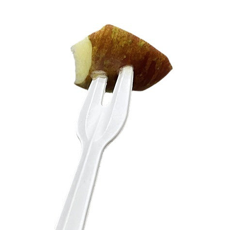 Compostable Sugarcane Fork