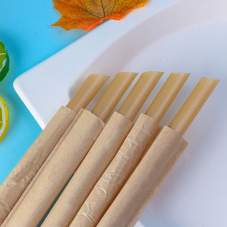 Compostable Wrapped Sugarcane Straws