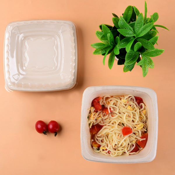 Compostable Disposable Square Bowls