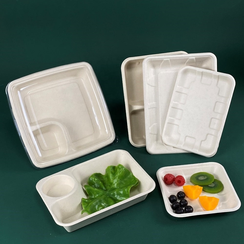 Biodegradable Catering Trays