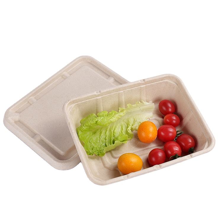 Biodegradable Trays