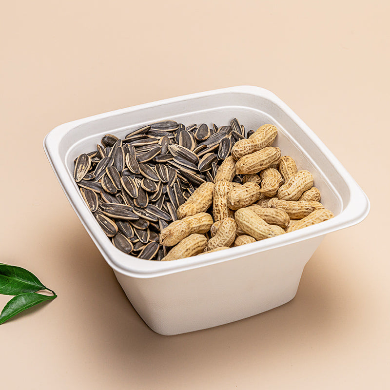 Compostable Disposable Square Bowls