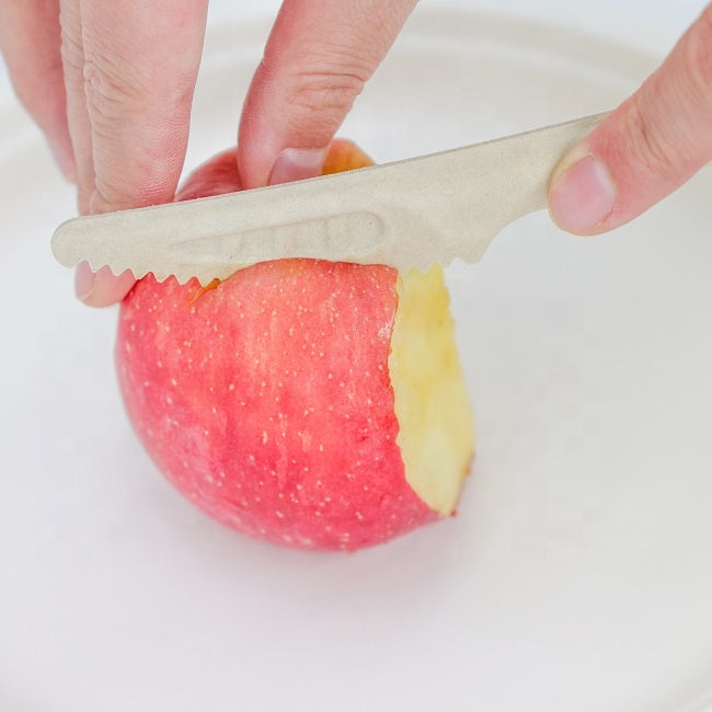 Biodegradable Disposable Paper Knife