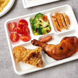 Biodegradable Sugarcane Rectangular Plate