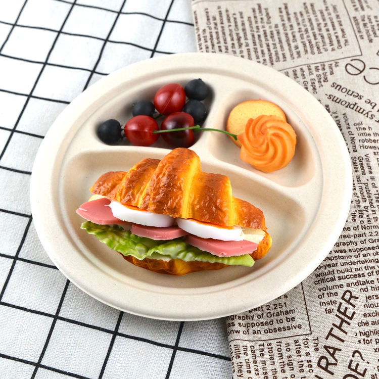 Biodegradable Round Disposable Plates