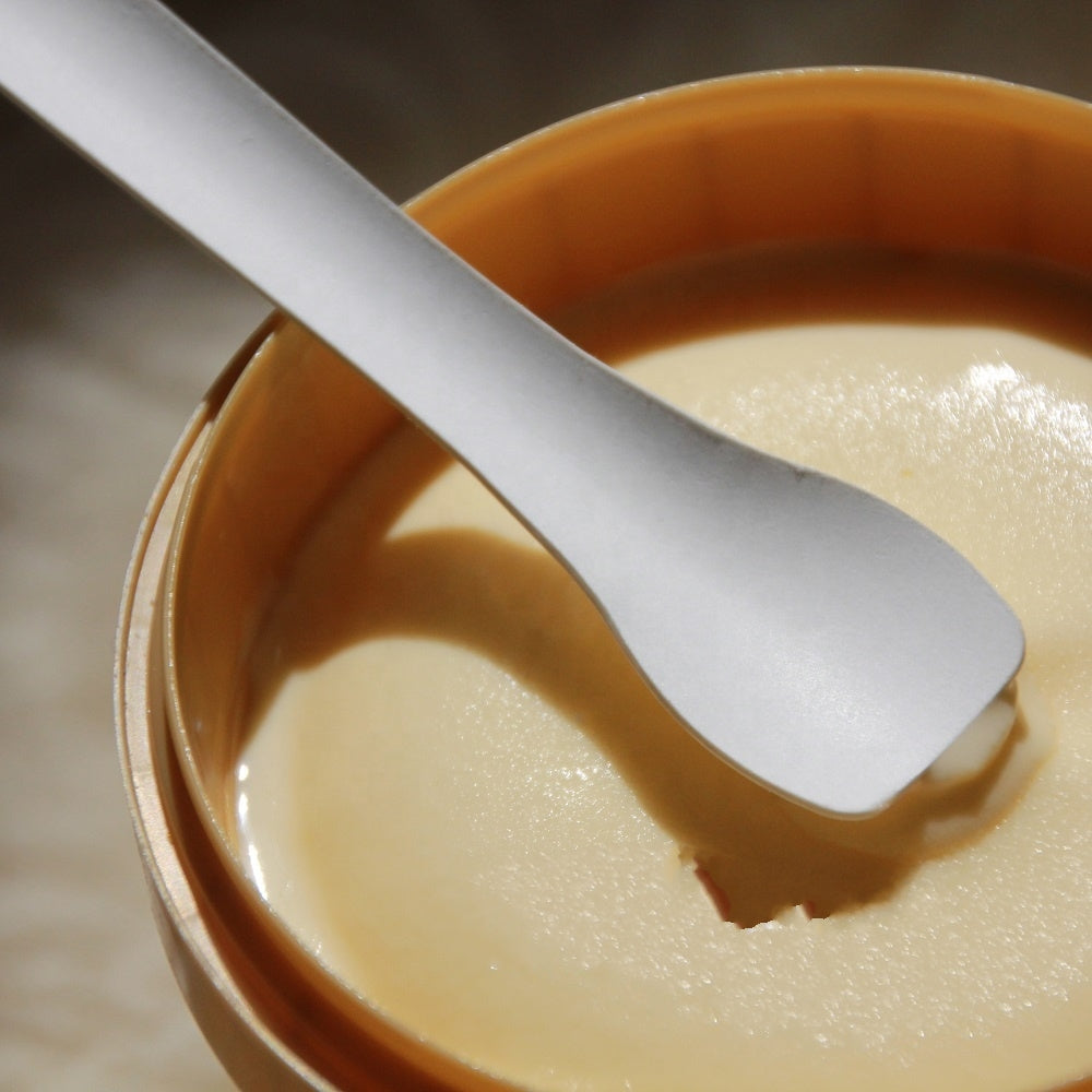 Compostable Disposable Spoon