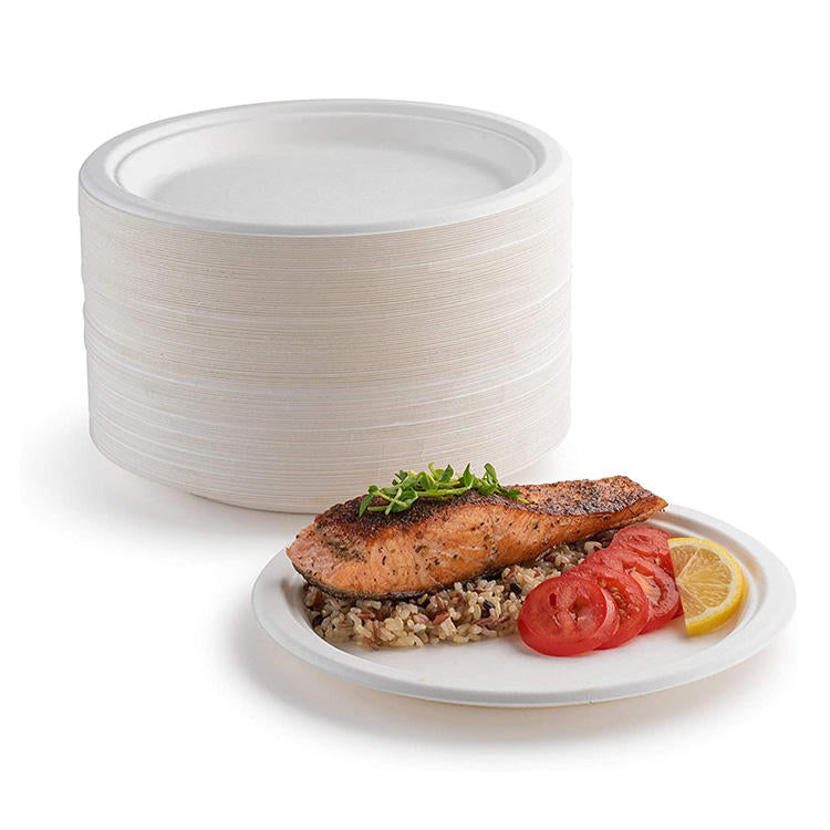 Biodegradable Round Disposable Plates