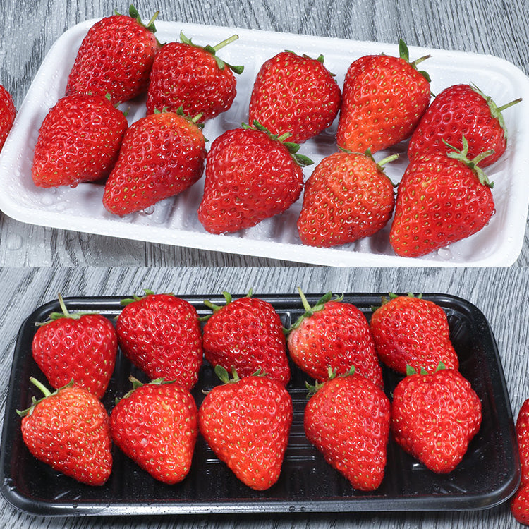 Disposable PLA plates