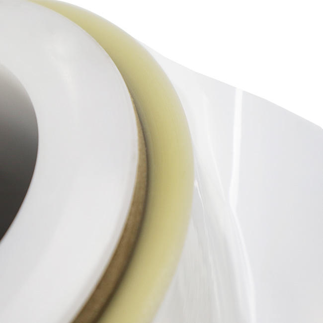 Biodegradable Films For Food Packaging