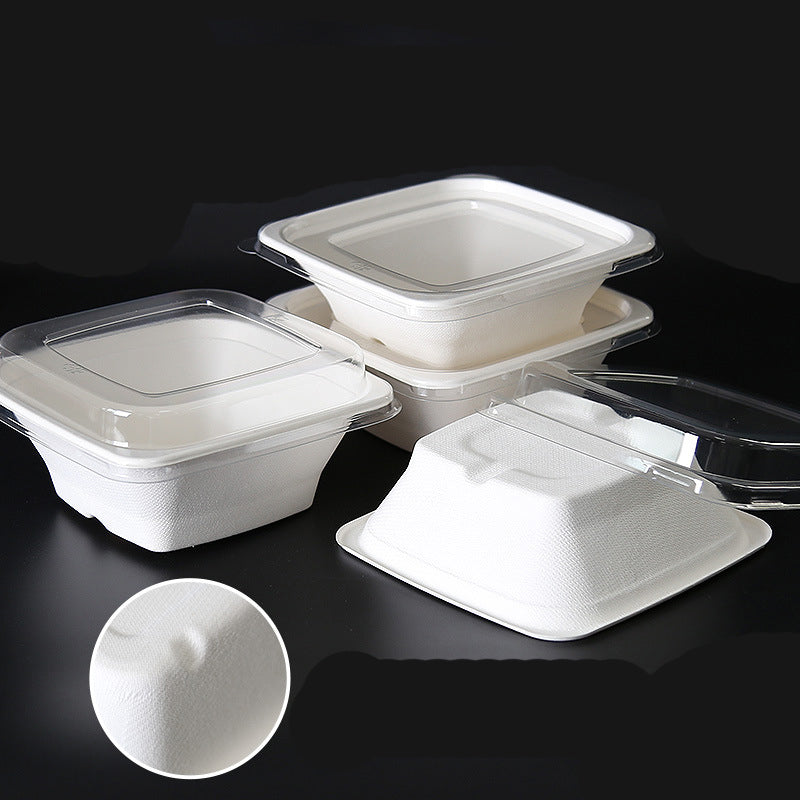 Compostable Disposable Square Bowls
