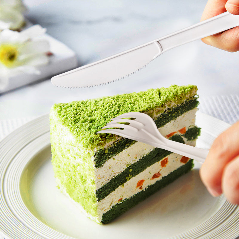 Biodegradable CPLA Fork