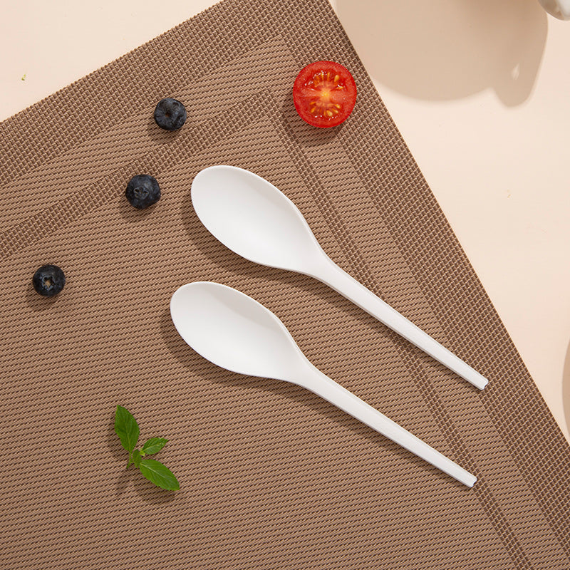 Biodegradable Bagasse Spoon