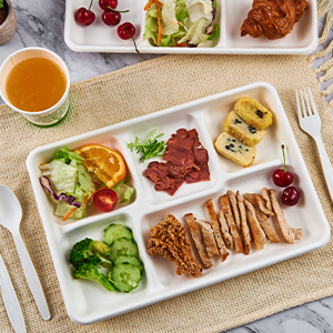 Biodegradable Sugarcane Rectangular Plate