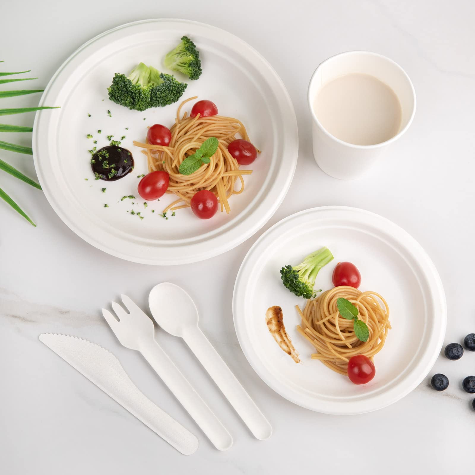 Compostable Round Paper Plate