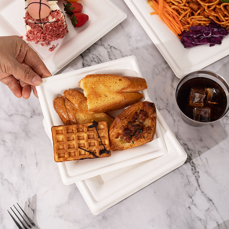 Eco-Friendly Disposable Square Plates