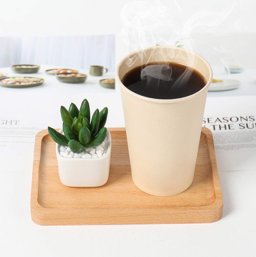 Sugar Cane Coffee Cups