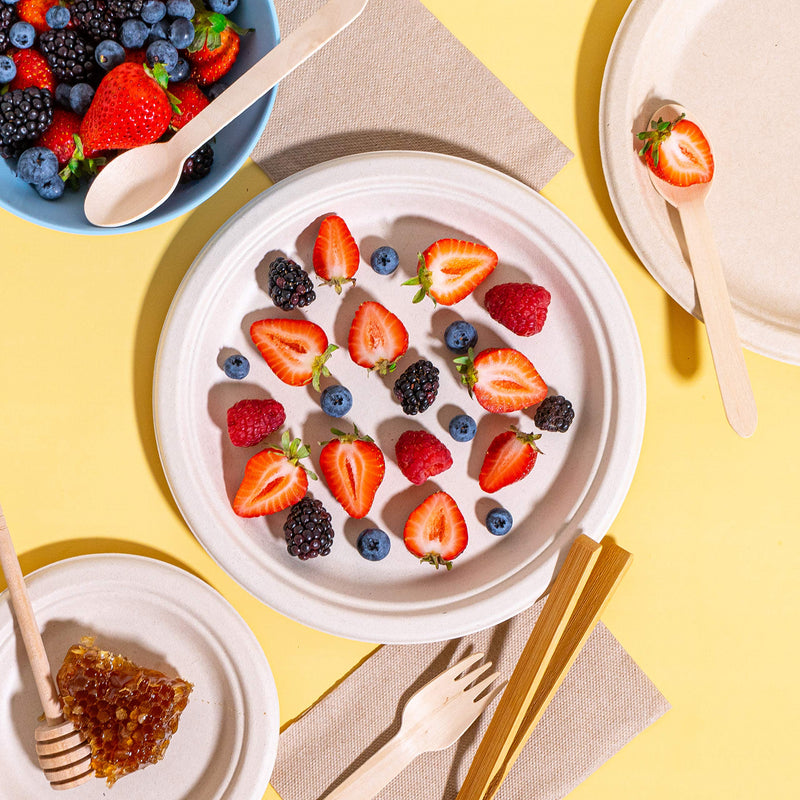 Compostable Round Paper Plate