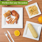 Biodegradable Square Plates