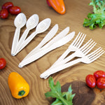 Biodegradable PLA Cutlery Set