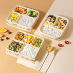 Disposable Corn Starch Lunch Boxes