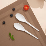 Biodegradable Bagasse Spoon