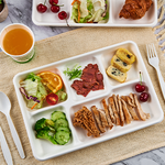 Biodegradable Sugarcane Rectangular Plate