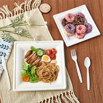 Biodegradable Square Plates