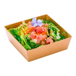 Compostable Paper Container For Sushi