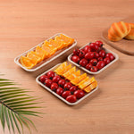 Compostable Rectangular Plates With Compartments
